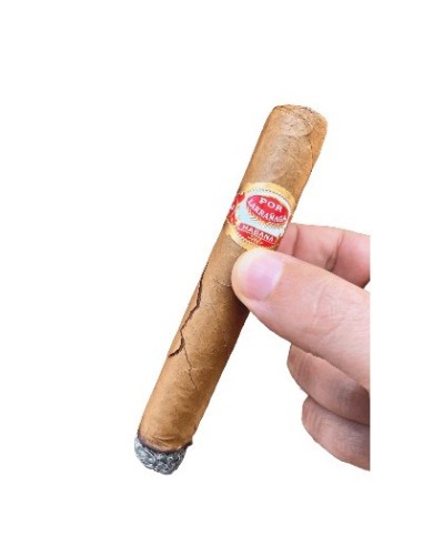 CIGLUE BÂTONNET RÉPARE CIGARES