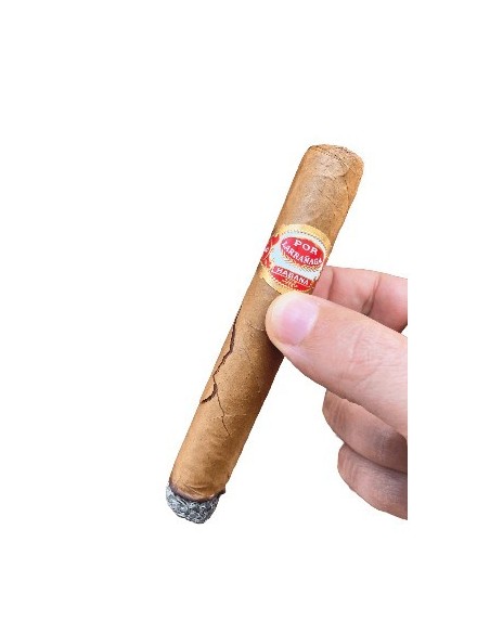 CIGLUE BÂTONNET RÉPARE CIGARES