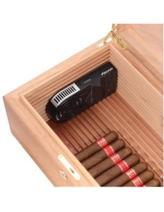 HUMIFAN, Circulateur d'air pour cave et petite vitrine à cigares 2